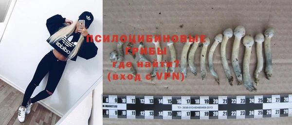 твердый Балабаново