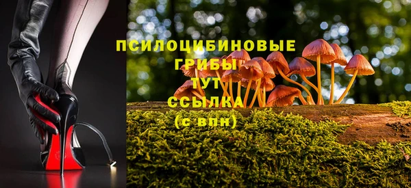 хмурый Баксан